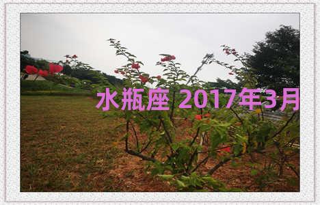 水瓶座 2017年3月